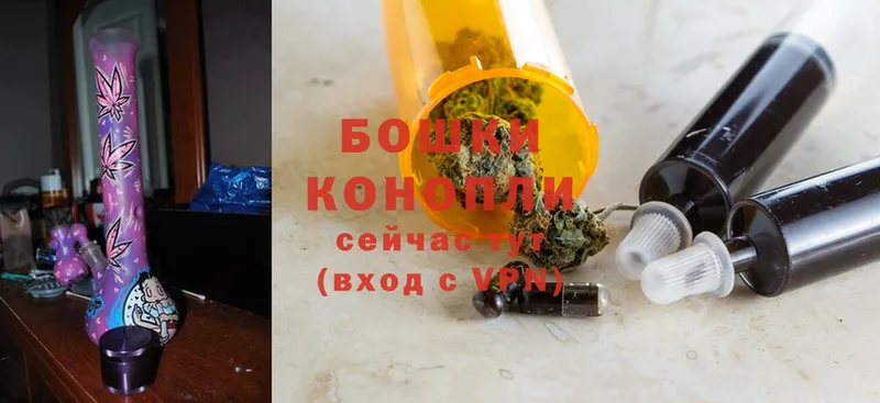 Бошки марихуана OG Kush  Пыталово 